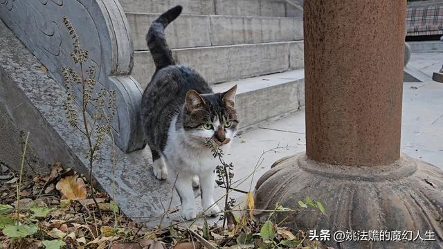 就这样结束吧！无论以后会在哪座山，2025完结撒花