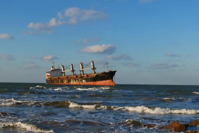 天鹅畅游圈剧透：五部恋歌，首篇「天鹅絮语」上线！