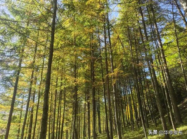 马峡镇车厂沟村：守一库碧水映青山 绘就生态宜居新画卷