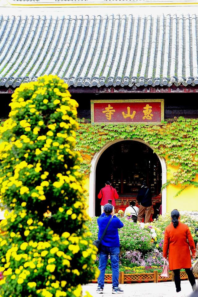 菊韵惠山：菊花与古建的对话