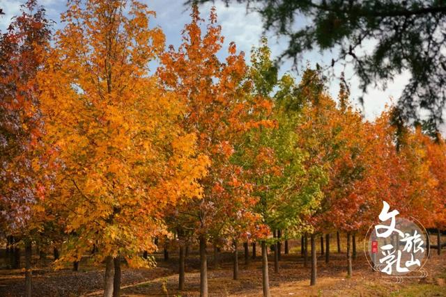 这条「五彩斑斓」的赏秋路线，把秋天都打包给你了！