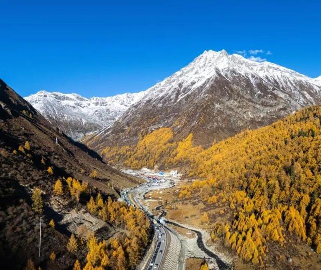 今年理县红叶开挂了！红得惊动天地，美到不可方物