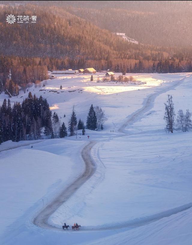 阿勒泰冬日仙境，雪域精灵跳跃，我被这片童话世界震撼了