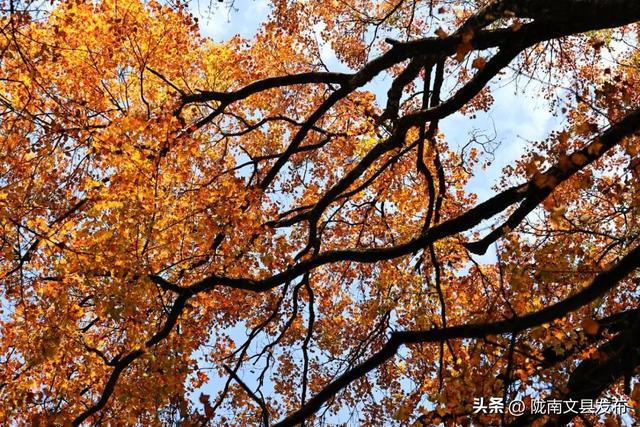 天池「初妆」，素颜静好