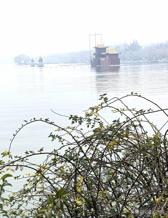 新华社原军事记者陶俊峰泉城美拍：《冬雾中的大明湖》