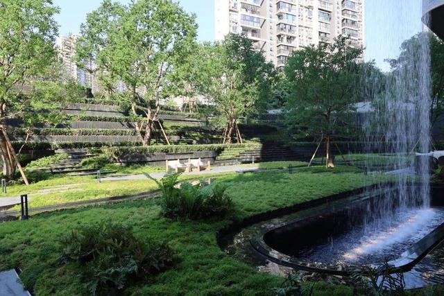 【记忆】槐香、砖瓦、足球，这条路的故事能讲一路！