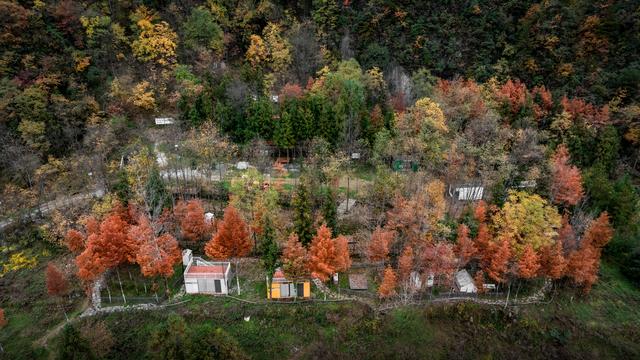 上坝彩林 彩林坝上