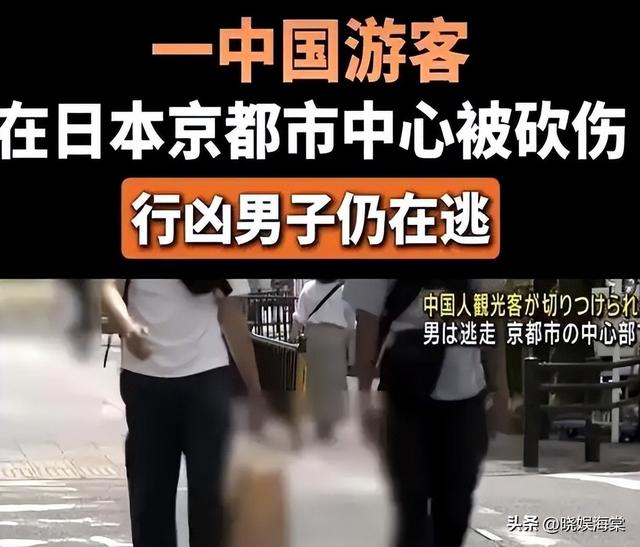 大批中国人仍扎堆登机赴日，日媒采访让人不适，游客回答出人意料