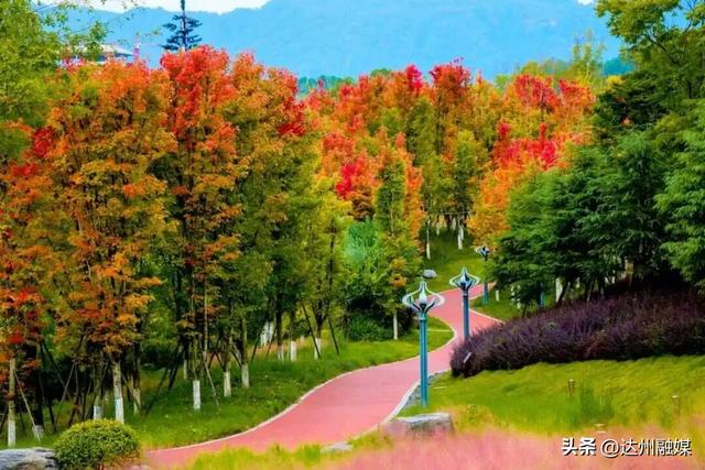智汇巴风賨韵･才聚安逸达州丨达州已备好美景、美食，静候各位青年才俊