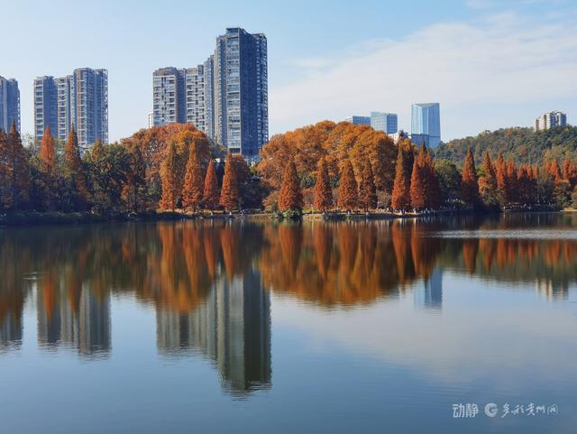冬日暖阳下，打卡贵阳观山湖公园的绝美风景