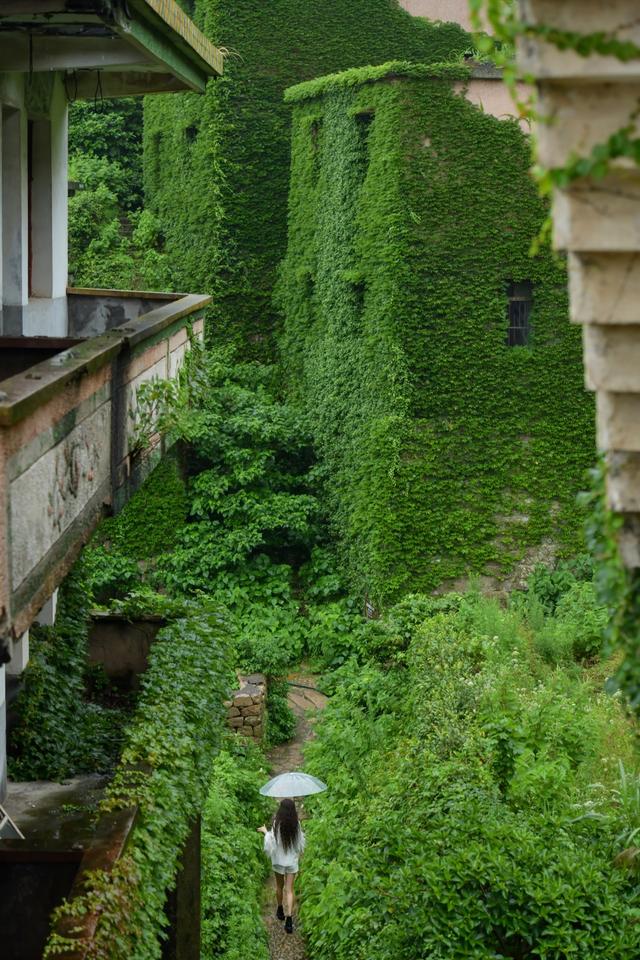 从你的全世界路过81：墟村浮光