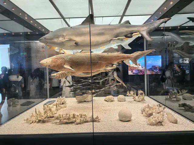 天津游记（上）