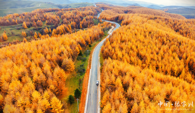 【摄影报道】秋韵未歇：张家川山水的立冬回眸