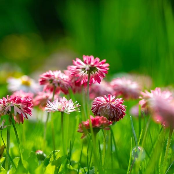 情感爆文:《爱一个人，就是愿意为他改变》