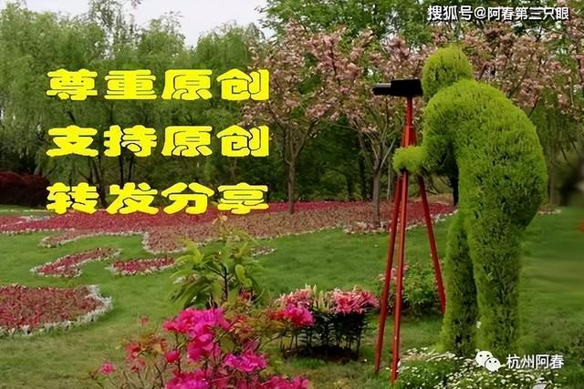 看杭州之 拱宸桥桥西直街