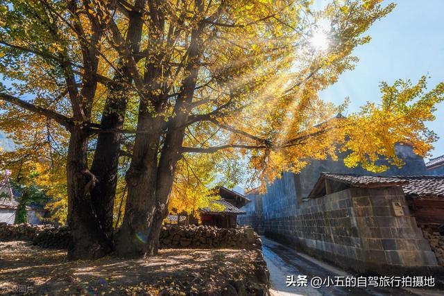 11月旅游的目的地推荐|每一个都是出片圣地的存在