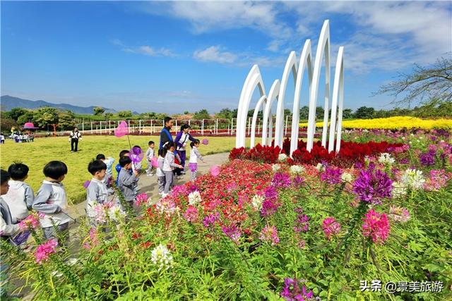 岭南冬如春，童趣蝶翩跹，学子来到佛山卡玛花世界开启蝴蝶研学