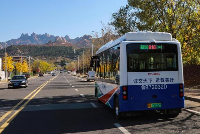 城阳巴士打造918路“太和山赏红枫”主题巴士