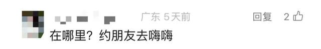 刷屏预警！深圳人都在等！最强攻略来了