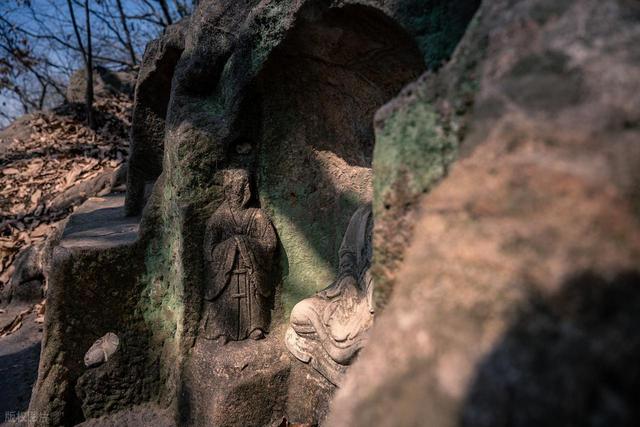 石象路银杏黄了！秋日南京必走的几条经典路线