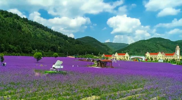 这么凉 那么近~快来合水县开启一场 26°C 的避暑之旅吧！