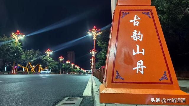 【焉支山下】白天看花 夜晚赏灯！山丹县把地标花卉“种”上街灯