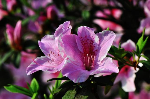 情感爆文《在感情的世界里，懂比爱重要》