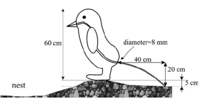 最近爆火的“高雅人士	”企鹅表情包，究竟什么来头？