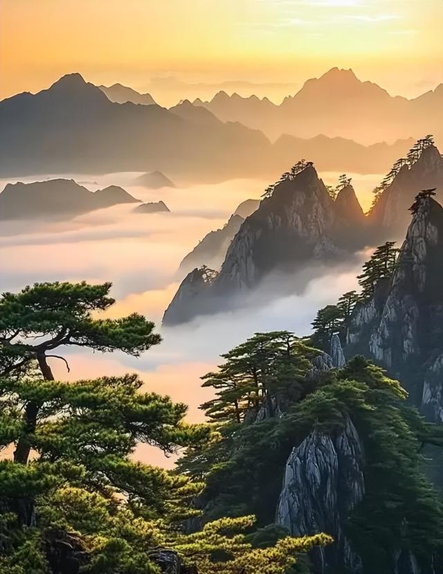 黄山秋色天花板！2025绝美赏秋攻略：解锁99%人不知道的秘境玩法