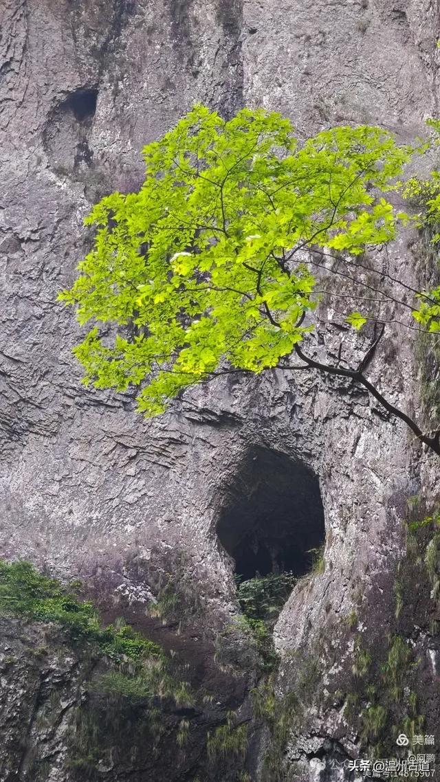 雁荡山百岗尖显胜门穿越,这条风光绝美的经典徒步线路你可去过