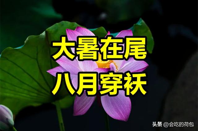 “大暑在头，八月桑拿；大暑在尾，八月穿袄”，今年的大暑在哪？