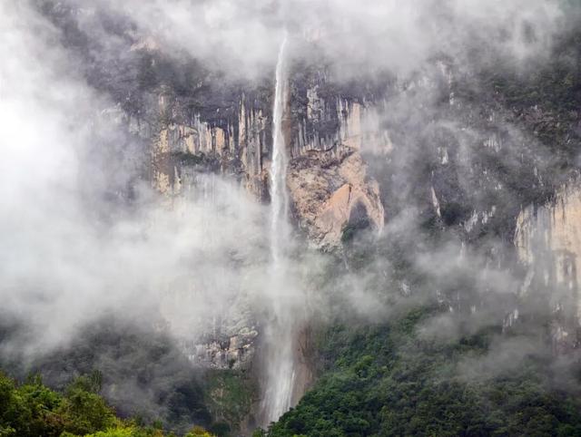 守护生态秘境——走进徽县三滩森林公园