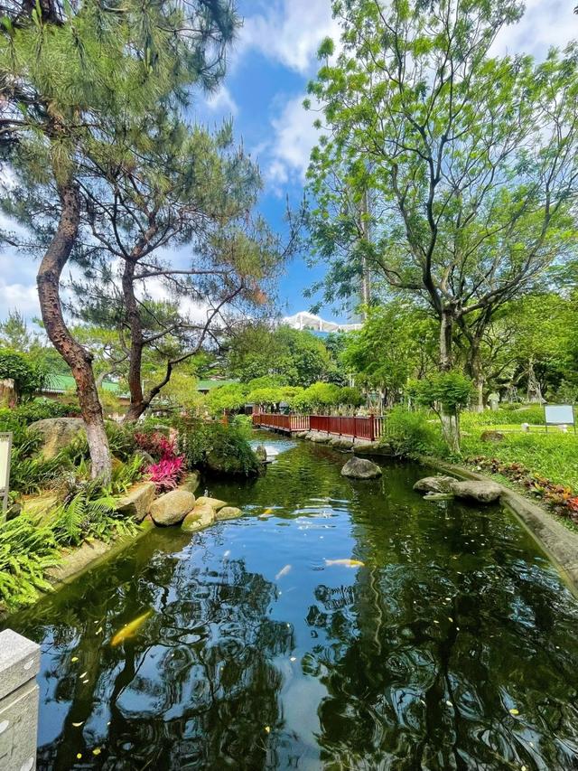 广州没想到，珠海没想到，中山就这么温温柔柔地出圈了！