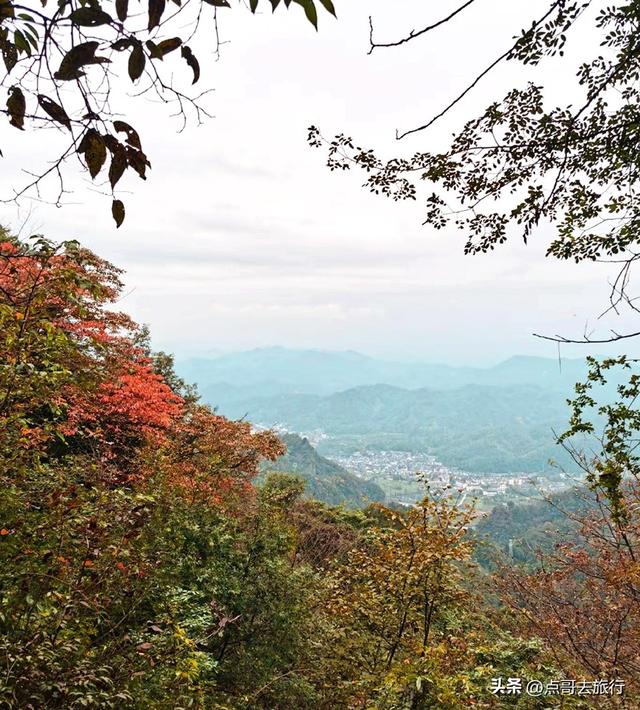 成都彭州的魔幻彩林，都不要门票！壮观、唯美、浪漫，无不惊艳！