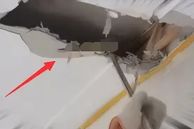 四川小区三条蛇藏身吊顶！蛇会爬墙？这么高是怎么上去的？图片