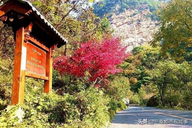一键收藏！来宝鸡过双节“文旅大餐”已备好，8天玩到不想走！