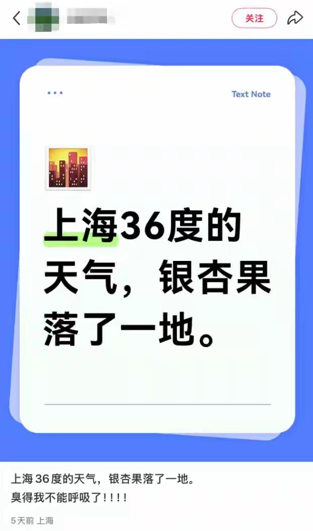 紧急提醒！上海街头这种“金元宝”，千万别捡！年年有人中招。