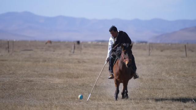 亚洲第一天然草场，中国名马河曲马诞生地，海拔3400米的湿地美翻