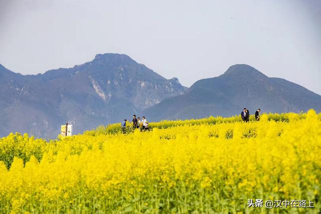 汉中油菜花节的两日游玩暴走攻略来啦！