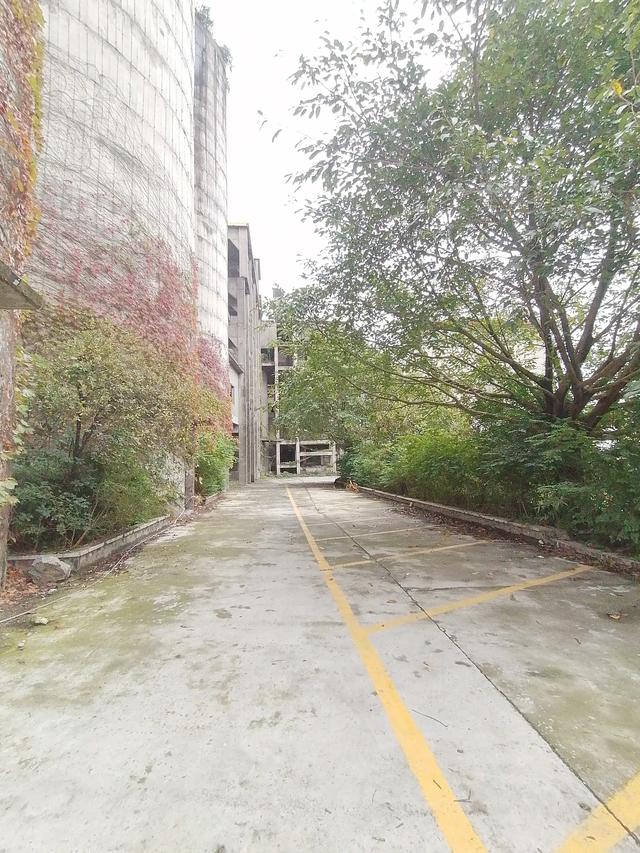 双流／华阳／仁寿苏码头历史资料