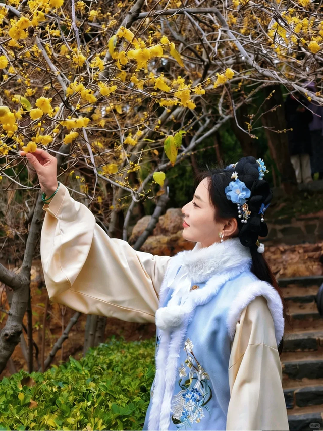 此刻！烟台花花花花花开了