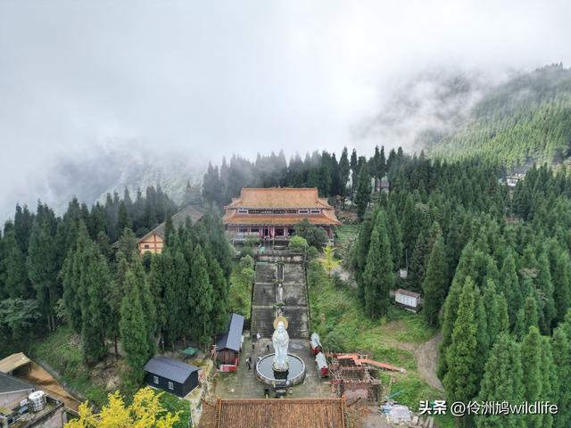 四川行(73)什邡红枫岭徒步到钟鼎寺