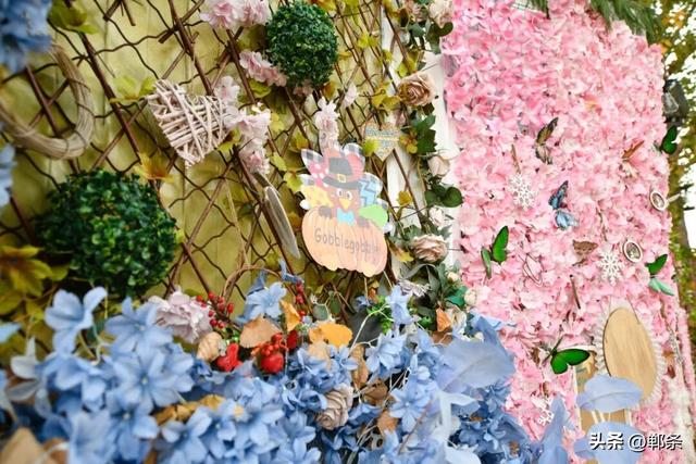 冀南新区独有的初冬韵味