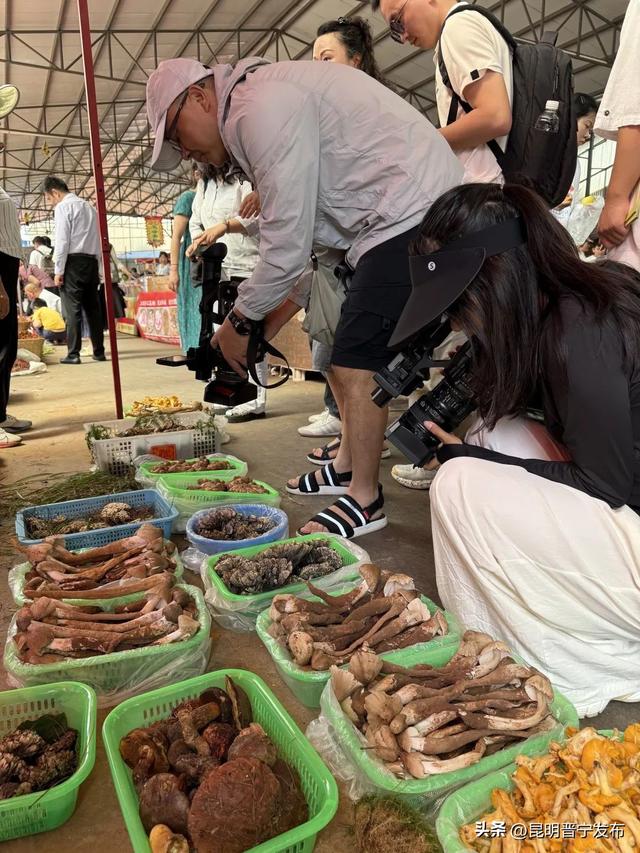 中央、省、市多家媒体聚焦晋宁旅游线路