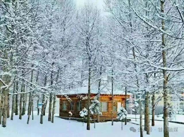 初雪染城 碌曲尽显高原浪漫