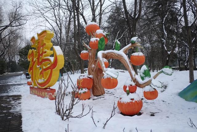 实拍！洛阳新春灯会来了！超多惊喜