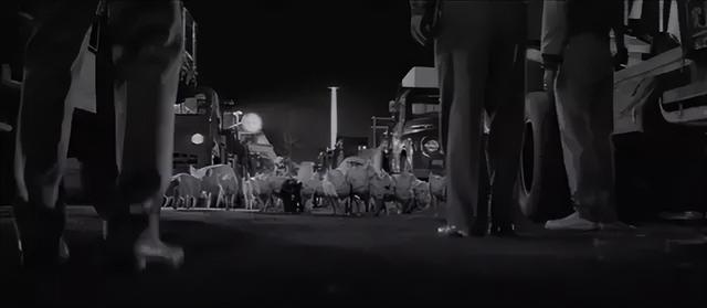 两夺金棕榈，亚洲没别人了