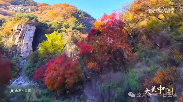 五莲上央视了！