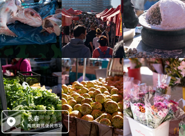 长春夏日早市合集来了！这迷人的烟火气，爱了~