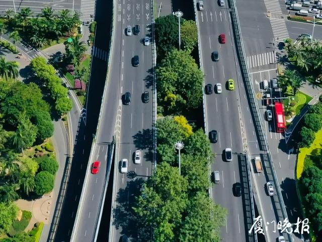 金秋国庆全城狂欢！惠民举措、文旅活动……厦门刚刚发布→
